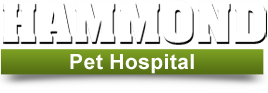 Hammond Pet Hospital
